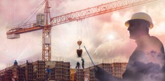 В жару бум грибковых болезней. Чем обработать растения от фитофторы