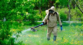 Акарицидная обработка: удачное решение проблемы избавления от назойливых и небезопасных клещей