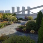 Особенности озеленения крыш и террас