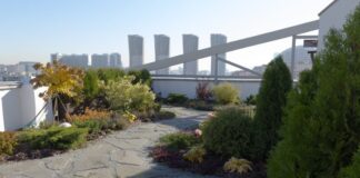 Особенности озеленения крыш и террас