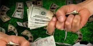 Особенности ставок на российскую футбольную Премьер-Лигу