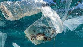 Почему на Байкале хотят запретить продавать пластиковые пакеты и посуду?