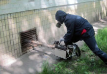 Как профессионально избавиться от крыс: проверенные методы и советы