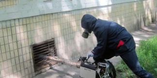 Как профессионально избавиться от крыс: проверенные методы и советы