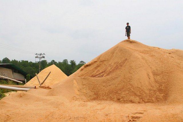 Биотопливо своими руками: особенности производства, плюсы и минусы самостоятельного изготовления