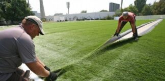 Искусственный газон для футбольного поля: особенности выбора и ухода