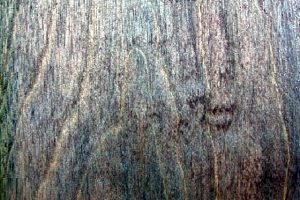 Морилка по дереву: характеристики и цветовые оттенки морилок для дерева