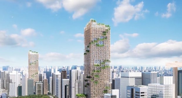 Деревянные небоскребы: новый экотренд, который изменит мир