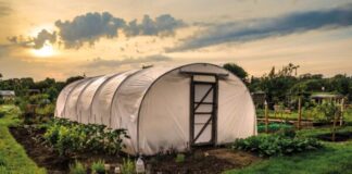 Какая пленка лучше для парника и теплицы: Топ 12 лучших видов пленочных материалов с высокими эксплуатационными свойствами