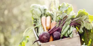 Набор массы. Чем подкормить корнеплоды, чтобы получить богатый урожай