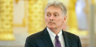 Песков прокомментировал строительство дороги через Лосиный остров