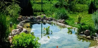 Прудик у дома. Как сделать недорогой и красивый водоем на своем участке