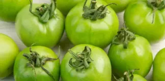 Зеленый, но с перспективой. Как создать условия для дозревания урожая