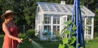 Жара добьет. Растениевод Ганичкина рассказала, как помочь растениям в зной