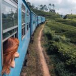 12 удивительных железнодорожных маршрутов, по которым стоит прокатиться хоть раз в жизни