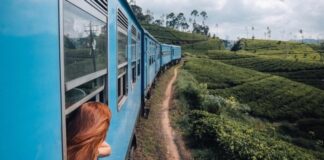 12 удивительных железнодорожных маршрутов, по которым стоит прокатиться хоть раз в жизни