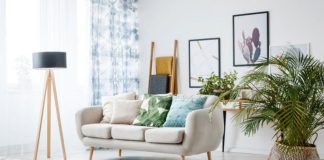 4 лучших комнатных пальмы для интерьера