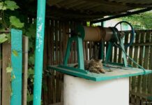 Колодец из бетонных колец своими руками: поэтапная инструкция