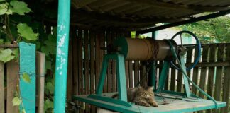 Колодец из бетонных колец своими руками: поэтапная инструкция