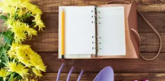 Лунный календарь садовода и огородника на август 2025 года