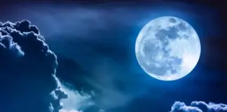 Лунный календарь садовода и огородника с 12 по 27 августа